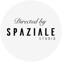 Spaziale Studio logo - Similar company to Ramón Pilaces