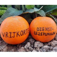 Vrijkorte Dienstleistungen GmbH logo - Similar company to Tanoshii Ag