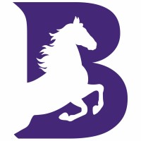 Best Forex UK logo - Similar company to Forex Trade Plan