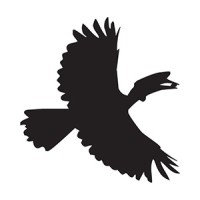 Center for Tropical Research, Institute of the Environment & Sustainability logo - Similar company to Sidera Environmental, Inc.