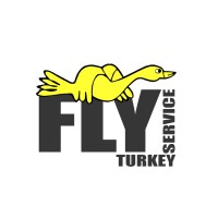 FLY SERVICE LTD logo - Similar company to Fly Service