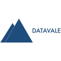 Datavale Consulting logo - Similar company to Tap Analytics