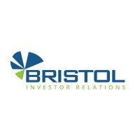 Bristol Capital Ltd. logo - Similar company to Viable Ai