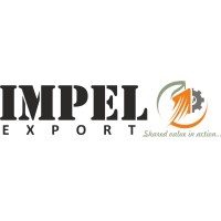 Impel Export logo - Similar company to Patel Metaforge