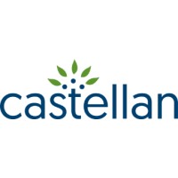 Castellan SFR logo - Similar company to Castellan Group, Llc