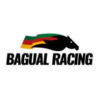 Bagual Racing - UFRGS logo - Similar company to Ladipp - Ufsm