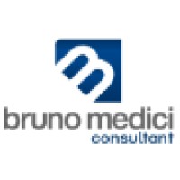 BMC2 - Bruno Medici Consultant logo - Similar company to Vanbox.Io 🚐