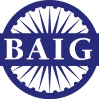 The Baig Firm logo - Similar company to Ramberg Labs