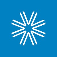 The Village Optician (North East) logo - Similar company to Surrey Opticians