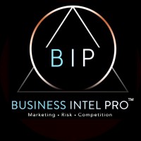 Business Intel Pro ™ logo - Similar company to Silvermine.Io