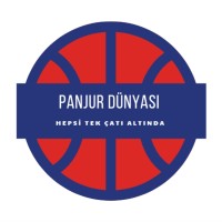 Panjur DÜNYASI logo - Similar company to Aras Panjur