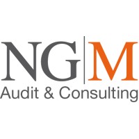 NGM Audit & Consulting logo - Similar company to Audit Station