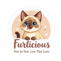 Furlicious logo - Similar company to Swift Engineering Solutions