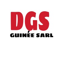 DGS Guinée sarl Entreprise de vente du Matériel Informatique et Consommable logo - Similar company to Ejico