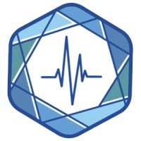 Veyetals logo - Similar company to Incresco Digital Solutions