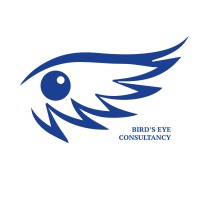 Bird's Eye Consultancy logo - Similar company to Two-B Engineering B.V.