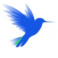 Hummingbird Insights logo - Similar company to Feedforward Research