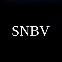 Something New B.V. logo - Similar company to Ich Selbst