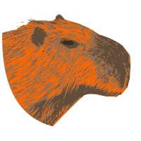 Capybera