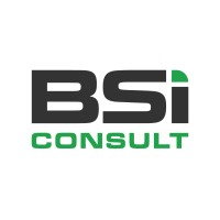 BSI Consult logo - Similar company to Wml Coast