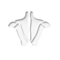 NW Chiropractic and Massage logo - Similar company to Spinewise-Ca