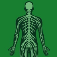 Neurology International MDPI logo - Similar company to Brain Sciences Mdpi