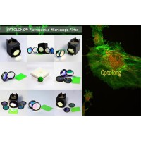 Fluorescence filter Co.,Ltd-Sherry Yan logo - Similar company to Vitro Diagnostik Türkiye