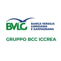 BVLG Banca Versilia Lunigiana e Garfagnana logo - Similar company to Illyriansilkroad