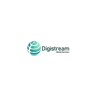 Digistream Global Services logo - Similar company to Cioindepth