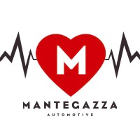 Mantegazza Automotive logo - Similar company to E-Fase