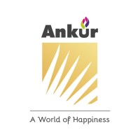 Ankur Foundations logo - Similar company to Ses Foundations