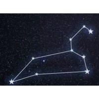 Regulus Analytica Inc logo - Similar company to Arcview Capital