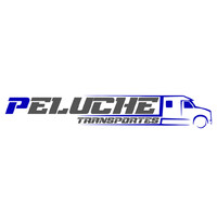 Peluche Transportes logo - Similar company to Acm International Transport