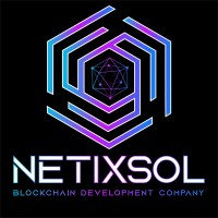Netixsol Global logo - Similar company to Giki Webteam