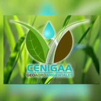 Centro De Investigación En Ciencias Y Recursos Geoagroambientales Cenigaa