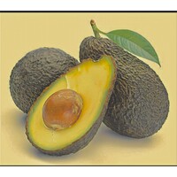 Mbeya Avocados Company Limited logo - Similar company to Ritz Ventures Limited