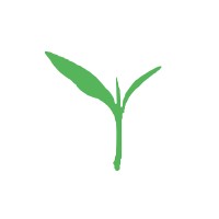 Sprouting STEM logo - Similar company to Dreamstarter