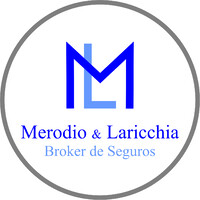M&L Broker de Seguros logo - Similar company to Alem Broker De Seguros