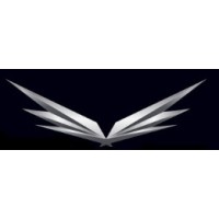 Renovatio Global logo - Similar company to 369 Funds