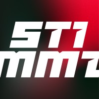 Stimmt logo - Similar company to Cube