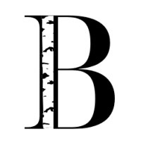 Birchwood Consulting logo - Similar company to Dvnc Tech Llc