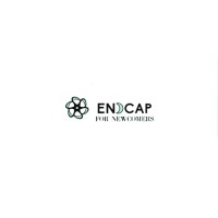 Endcap logo - Similar company to Endcap