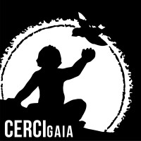 Cercigaia logo - Similar company to Dismorphia