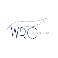 Whale Research Collective logo - Similar company to Intractive