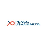 Pengg Usha Martin Wires Pvt. Ltd. logo - Similar company to American Spring Wire & Joh. Pengg
