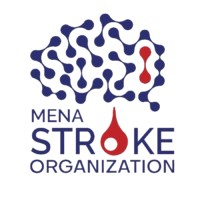 Middle East and North Africa Stroke Organization logo - Similar company to Paradigms Foundation