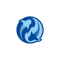 cypherOdin logo - Similar company to Illuminati