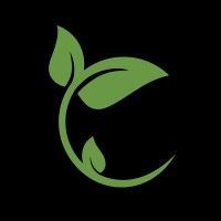 Candidus logo - Similar company to Artemis