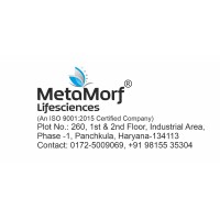 MetaMorf Lifesciences logo - Similar company to Novalab Co., Ltd
