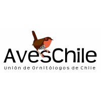 AvesChile (Unión de Ornitólogos de Chile) logo - Similar company to Boquila